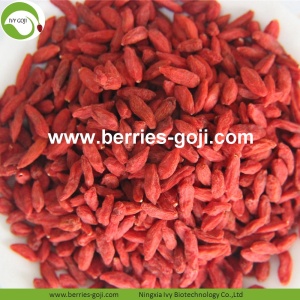 Factory Supply Nutrition Dry Fruit Healthy Goji Berries