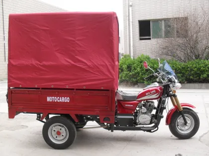 Tricycle Cargo 2015 Tricycle Adult Tricycle Bike with Waterproof Canopy