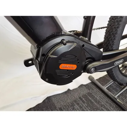 Central Motor Electric Bike with Dual Li-ion Batteries and Rosenberger Charger