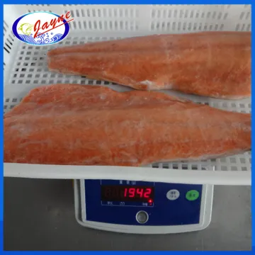 wild salmon fish