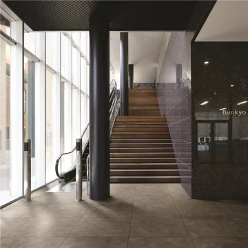 A6014 Matt Tile Wall and Floor Tile