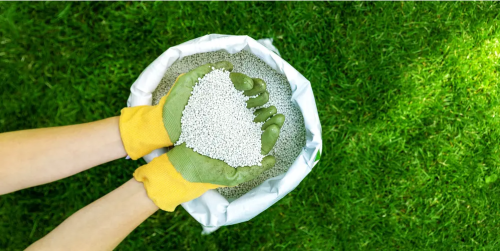 fertilizante de uréia para grama