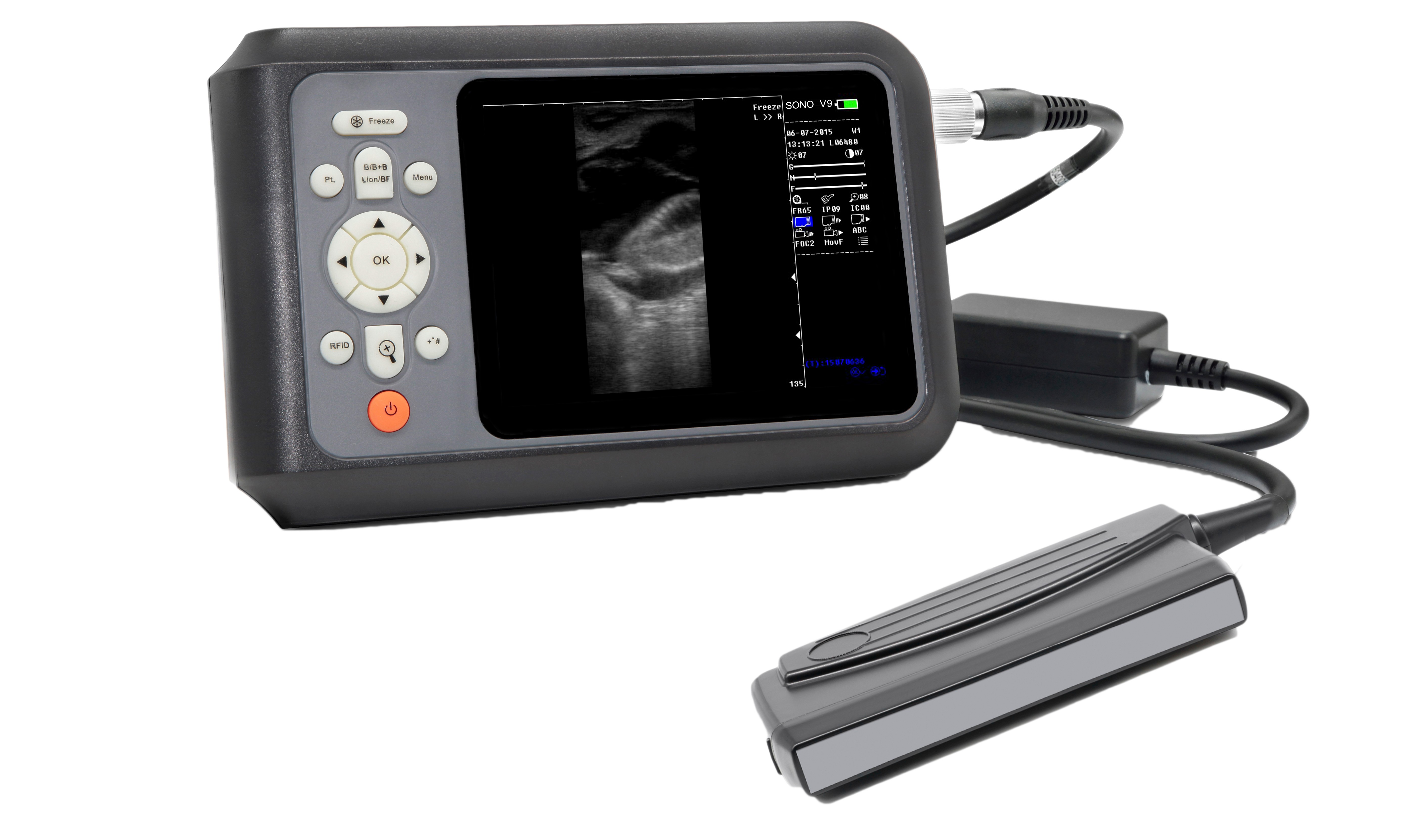 vet ultrasound