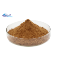 Organic Lion's Mane Mushroom Extract Powder P.E. Extract