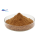 Organic Lion's Mane Mushroom Extract Powder P.E. Extract