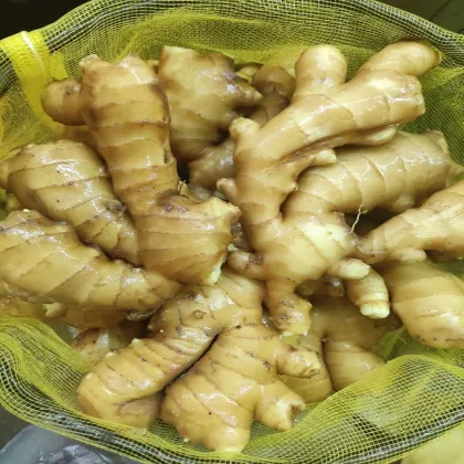 Selected Fresh/Air Dried Yellow Ginger