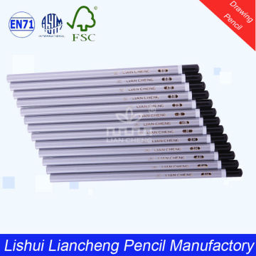 Hexagonal Graphite Drawing Pencil Set with Silver Body(GD-HZ001)