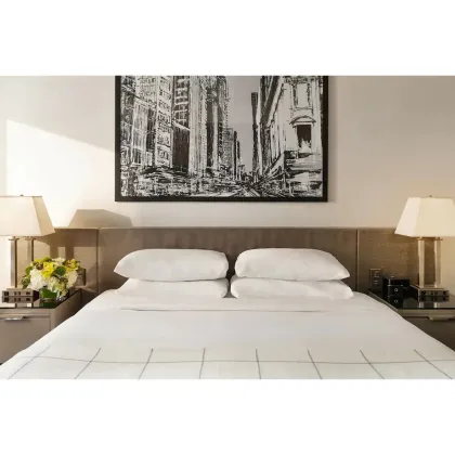 Grand Hyatt Upscale Hotel King Room Furniture Sets