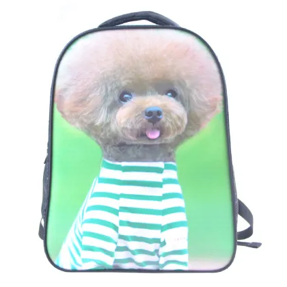 OEM Casual Backpack, Cheap Doublerie Backpack, School Backpack