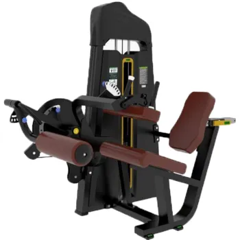 Gym Equipment: Commercial Leg Extension and Seated Leg Curl Machines