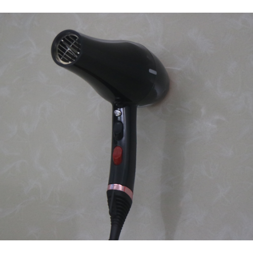 Hotel Using Powerful Electric Ionic Hair Dryer Blower