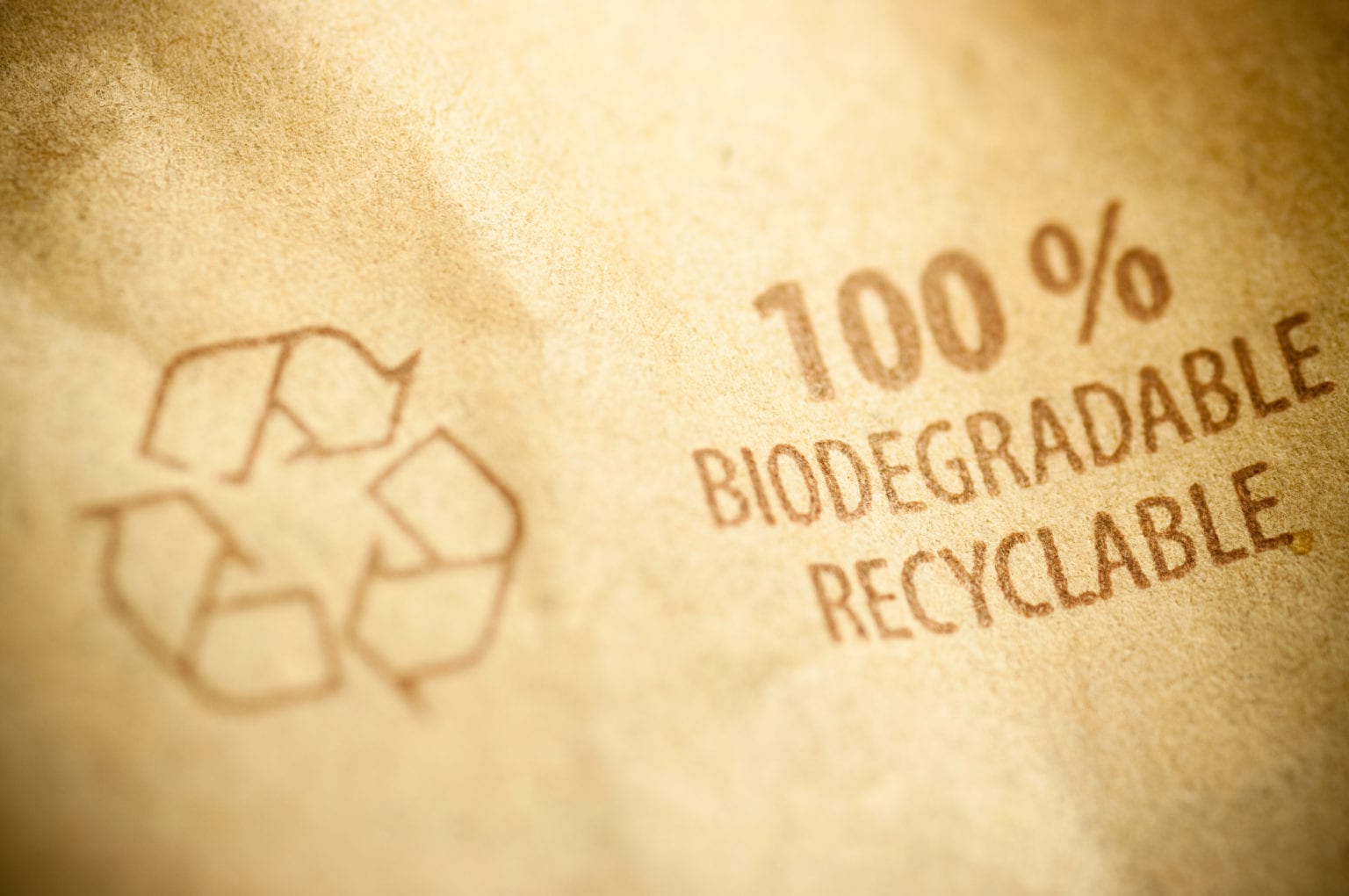 Biodegrable-packaging-1536x1020