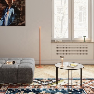 Scandinavian Living Room LED Floor Lamp - Factory Wholesale