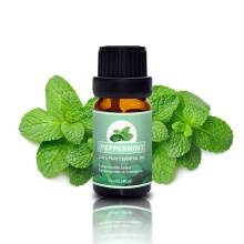 Preços de peppermint naturais de hortelã pura em massa