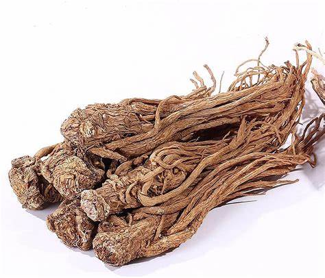 Natural Organic Anti-Oxidant Angelica Radix Extract