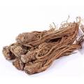 Natural Organic Anti-Oxidant Angelica Radix Extract