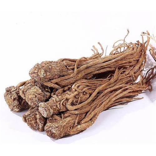 Natural Organic Anti-Oxidant Angelica Radix Extract