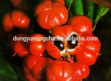 Guarana Powder Extract