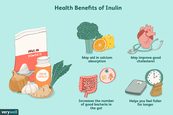 the-health-benefits-of-inulin