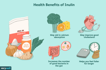 High Quality Chicory Root Extract Inulin Powder