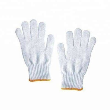 Latex Glove Knitting Machine Search Engine