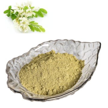 Rutina NF11 95% Sophora japonica estratto in polvere