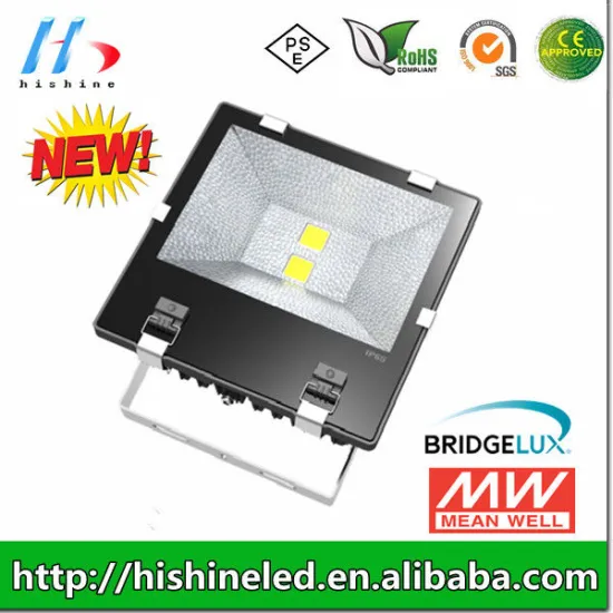 Hishine Aluminum Alloy High Power Led Floodlight