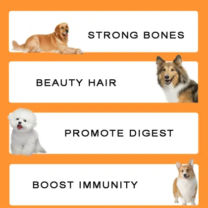 Low Fat, High Protein Dog Food for All Ages - Popular Dog Foods
