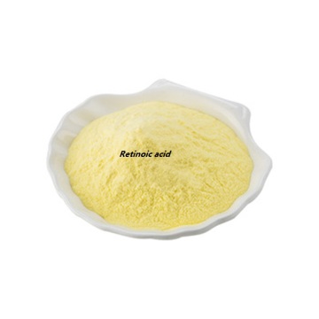 Buy Online Active Ingredients Retinoic Acid Powder