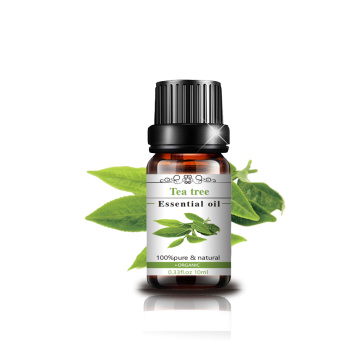 Private Label Face Skin Care Tea Tree Natural Essential Oil