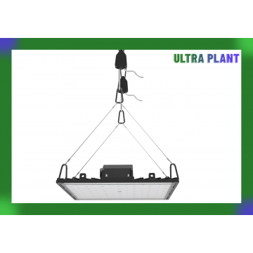 Spectre complet pour lampes de culture de légumes pour semis de plantes