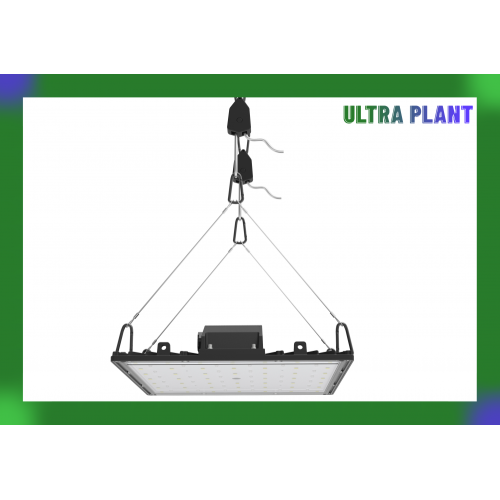 Full-Spectrum Growing Lamps for Vegetables