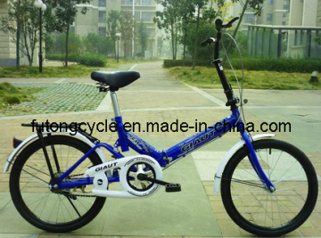 New Model of Folding Bike