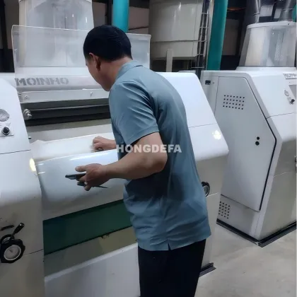 Hongdefa 100T Maize Corn Grain Processing Machinery