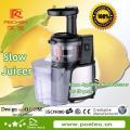 Juicer 127V/220V 60 हर्ट्ज 150W धीमी गति से