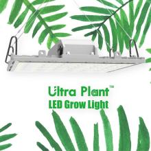 Lâmpadas LED de espectro total de 150 W para vegetais