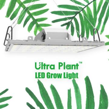 Luz de cultivo LED de interior de 365 nm para plantas