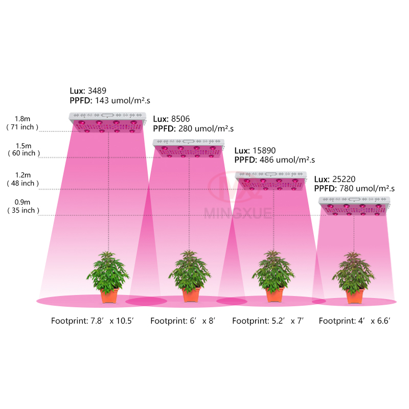 Double ended greenhouse 1000w grow light