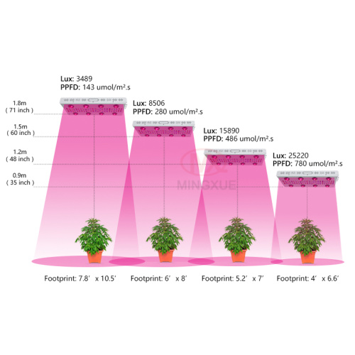 Double ended greenhouse 1000w grow light