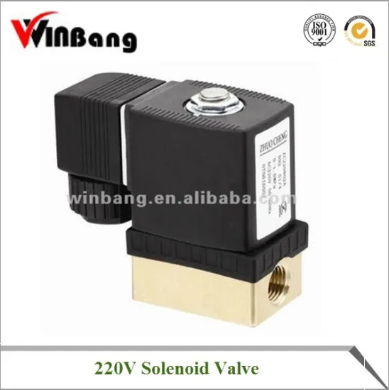Solenoid Valve Model:WB220601A