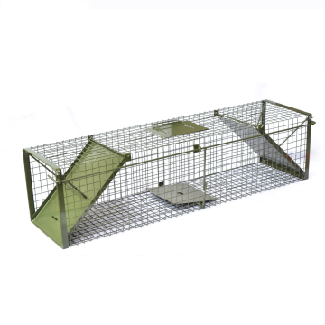 Jaula de zorro animal grande