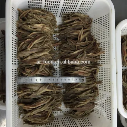 New season salted anchovy fillet