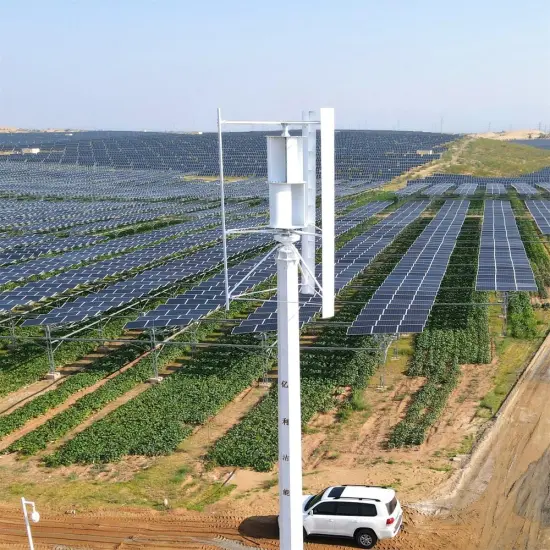 5KW 220V On Grid / Off Grid Wind Generator Power System