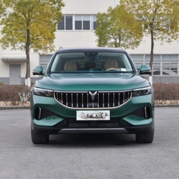 Voyah Free: Chin New Electric SUV przez Hot Auto Brand
