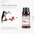 10ml Body massage oil plum blossom essential oil for Skin Body Care