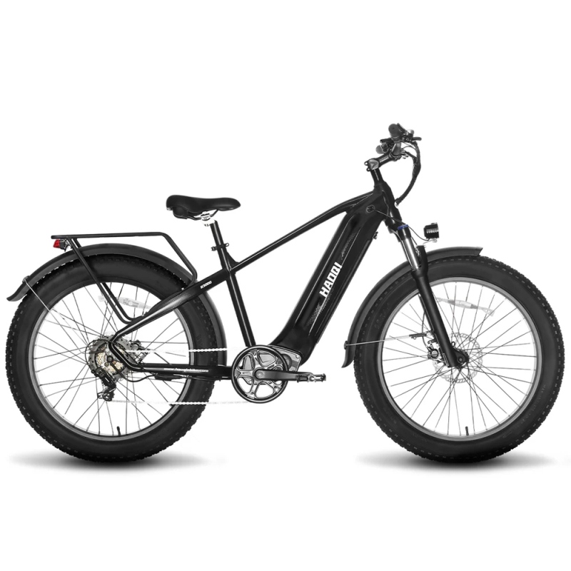 Leopard Pro 48V 20Ah Fat Tire Electric Bike