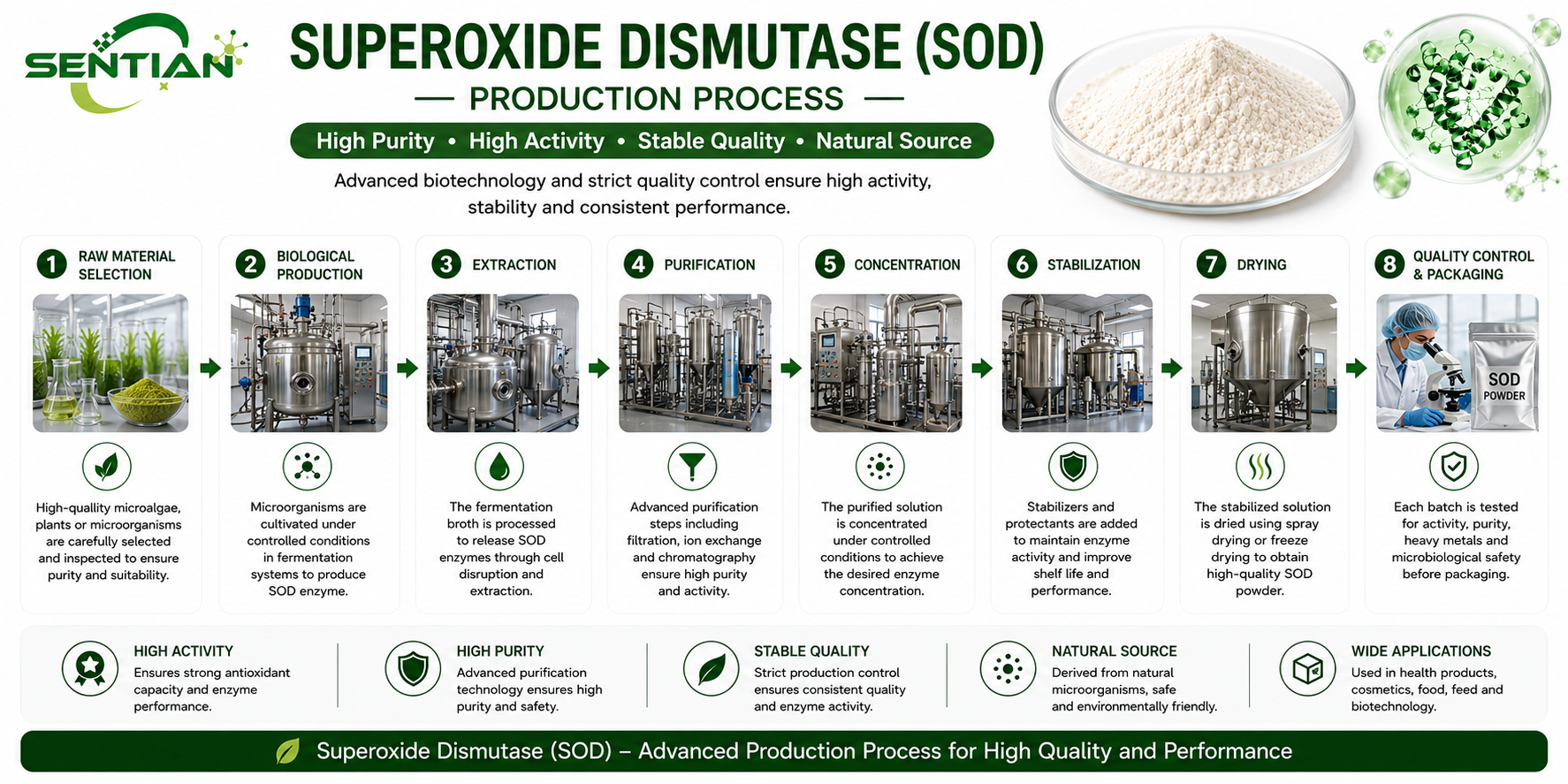 Superoxide Dismutase (SOD)1
