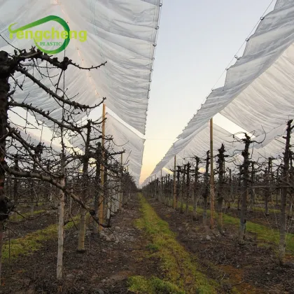 Grape Rain Covers Table Grape Rain Protection Covers
