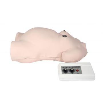 Advanced Maternity Examination Model