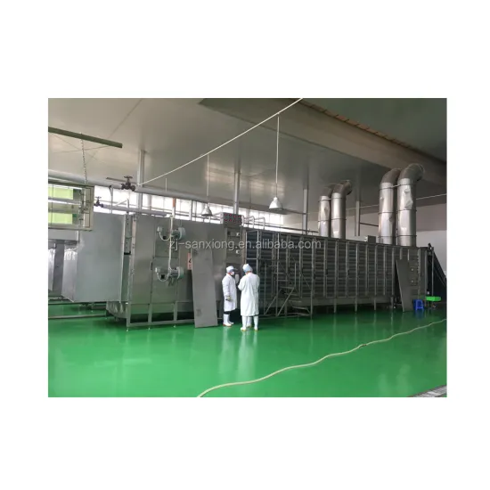 Industrial Belt Type Food Dehydrator Equipment for Vegetables and Fruits
